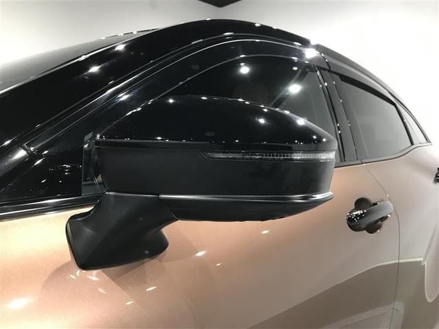 Миниатюра 33