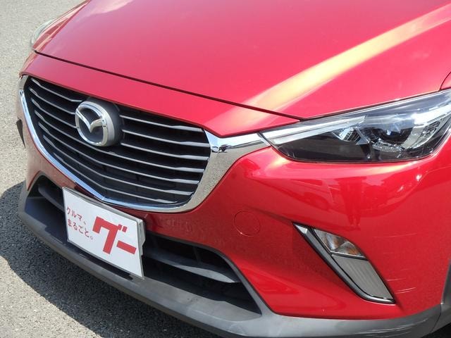 Миниатюра 55
