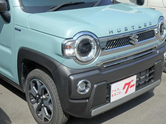 Миниатюра 52