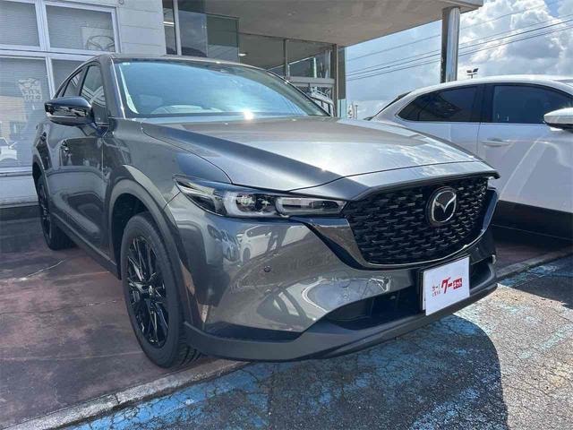 Миниатюра 13