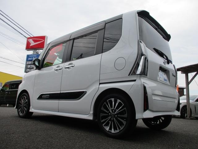 Миниатюра 29