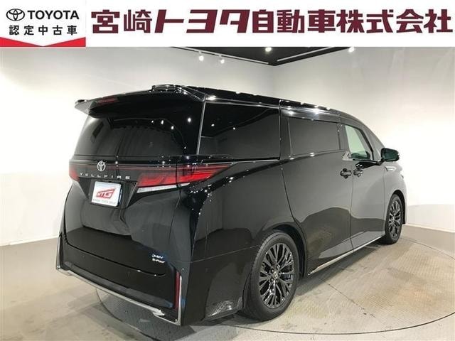Миниатюра 39