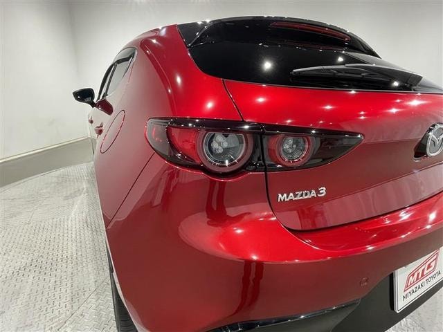 Миниатюра 37
