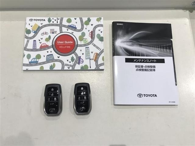 Миниатюра 17