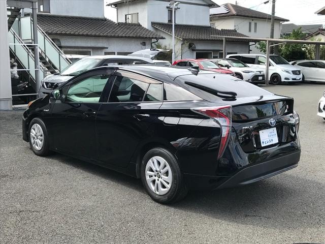 Миниатюра 17