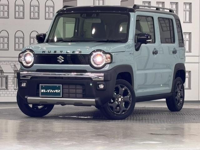 Миниатюра 29