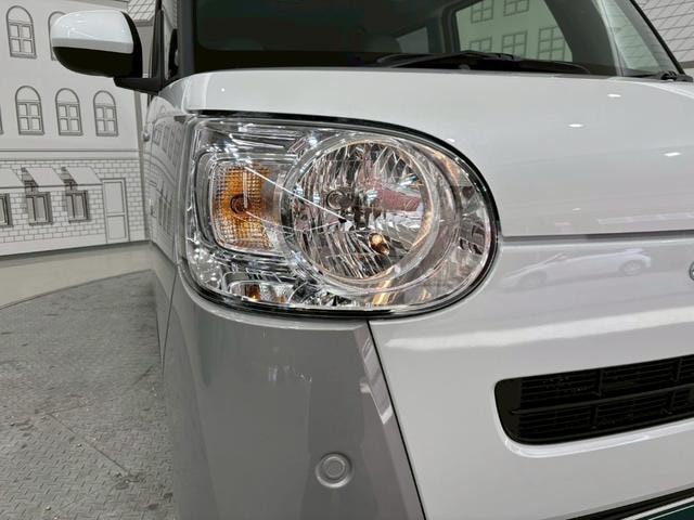 Миниатюра 46