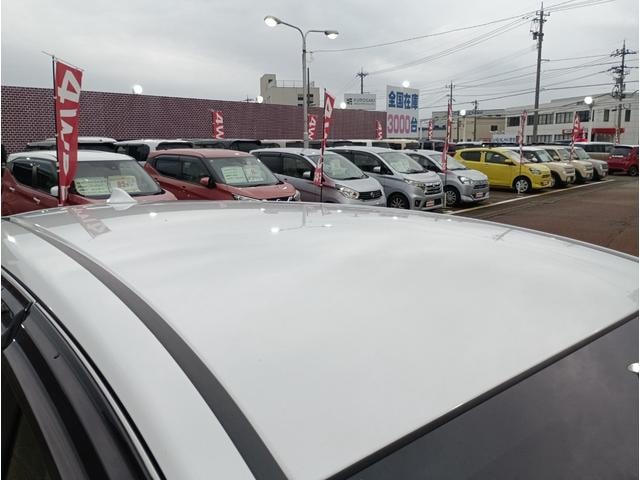 Миниатюра 17