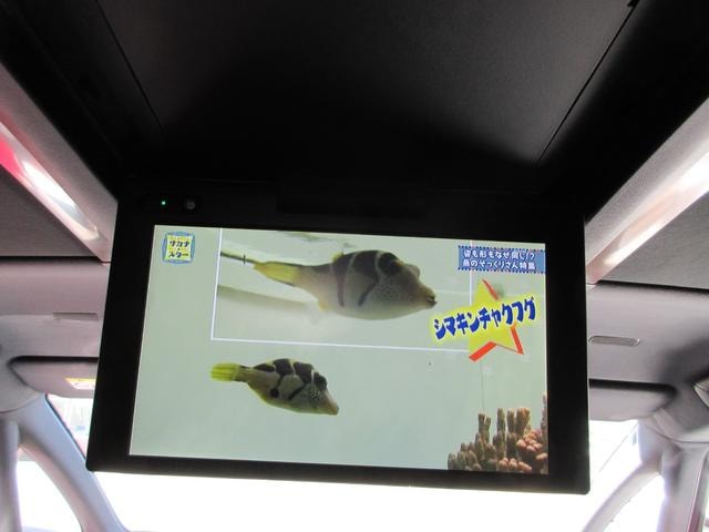 Миниатюра 39