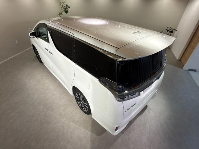 Миниатюра 22