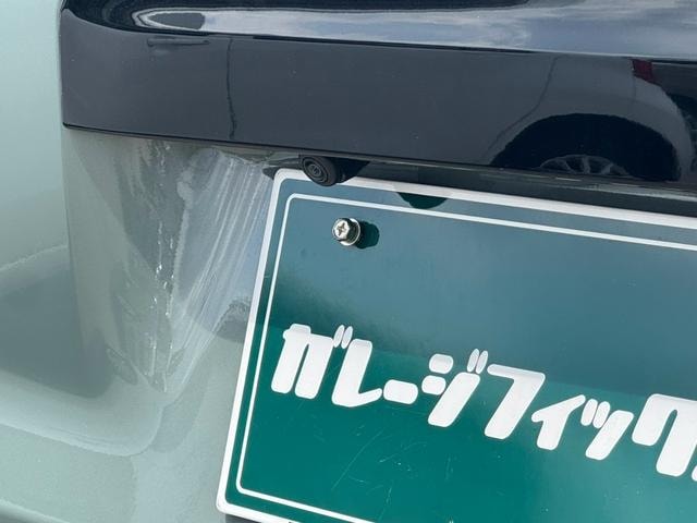 Миниатюра 51