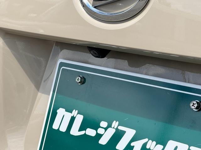 Миниатюра 48