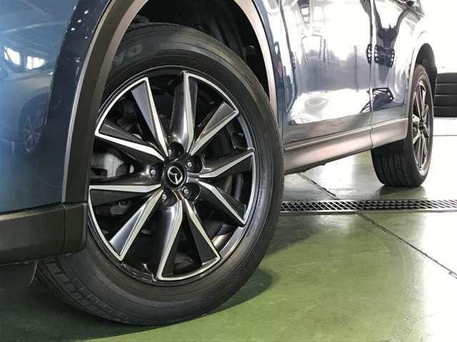 Миниатюра 19