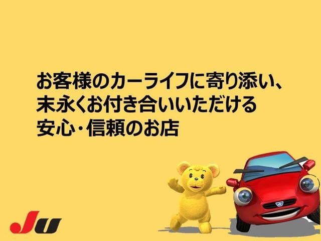 Миниатюра 41