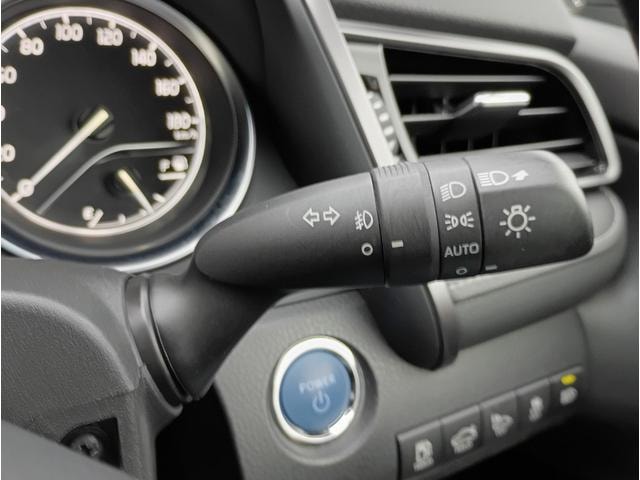 Миниатюра 42