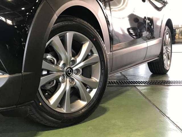 Миниатюра 19
