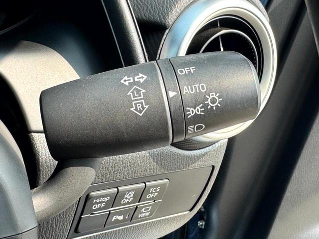 Миниатюра 31
