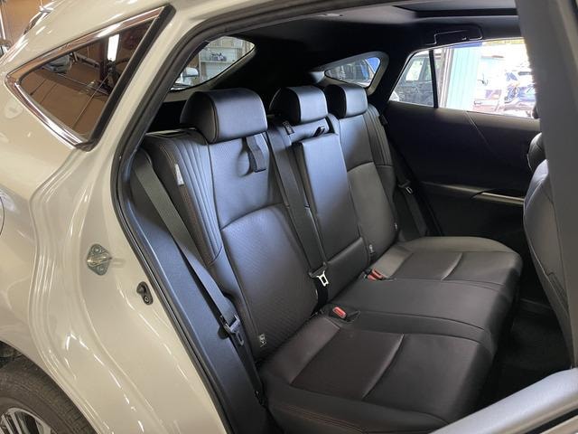 Миниатюра 18