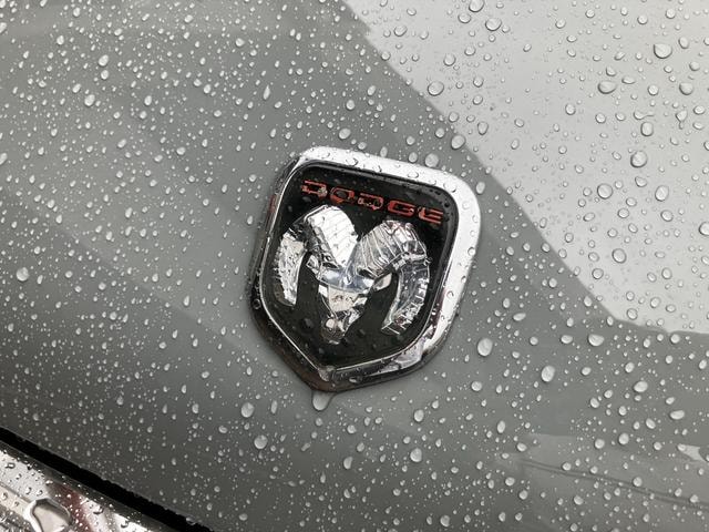 Миниатюра 43