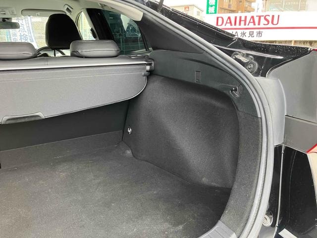 Миниатюра 31