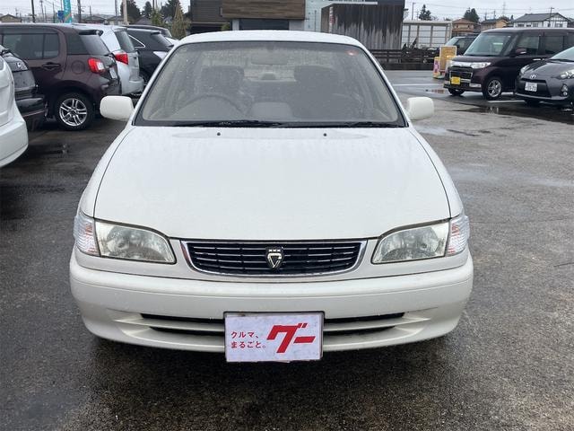 Миниатюра 13