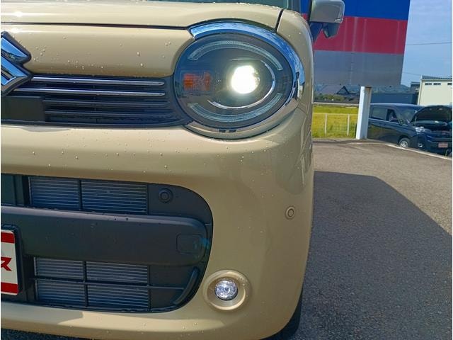 Миниатюра 12