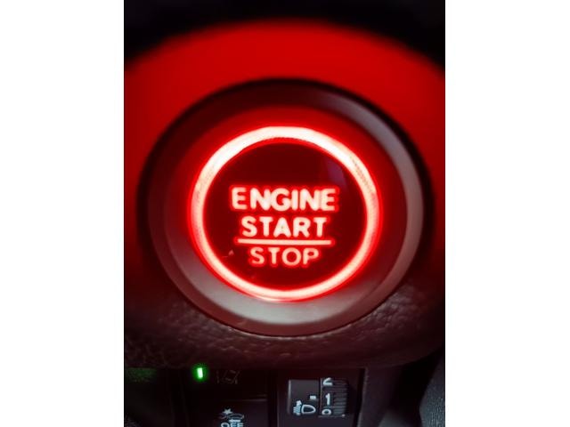 Миниатюра 49
