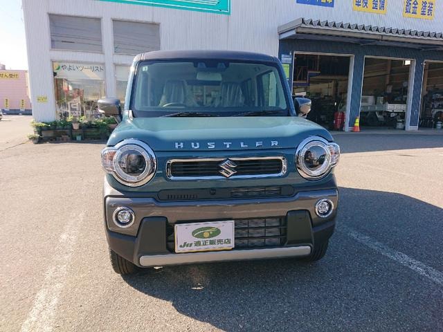 Миниатюра 15
