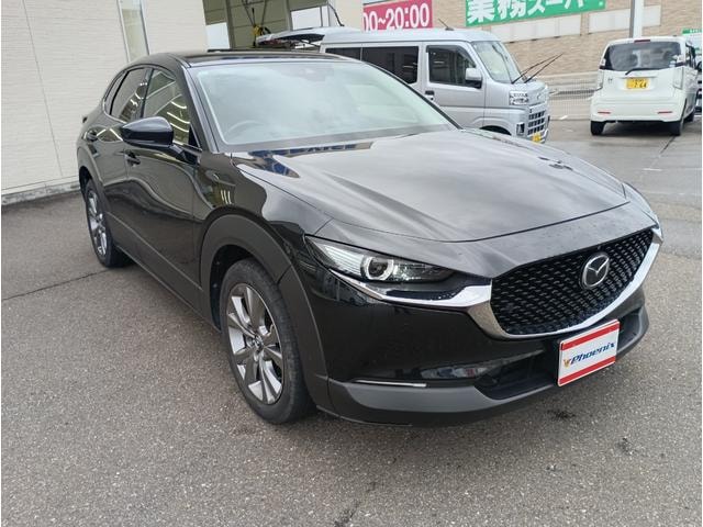 Миниатюра 41