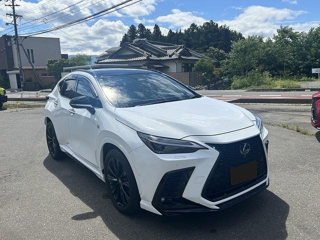 Миниатюра 14