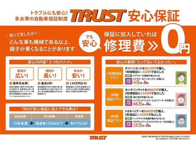 Миниатюра 66