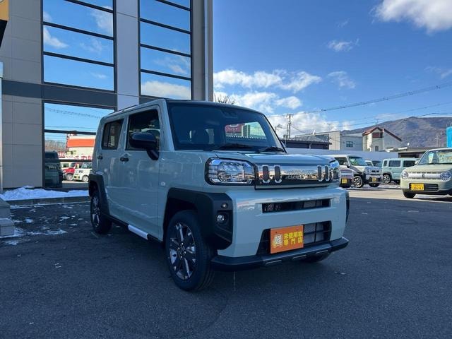 Миниатюра 31