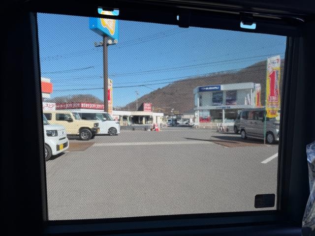 Миниатюра 66