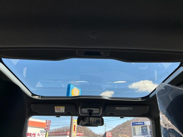 Миниатюра 42