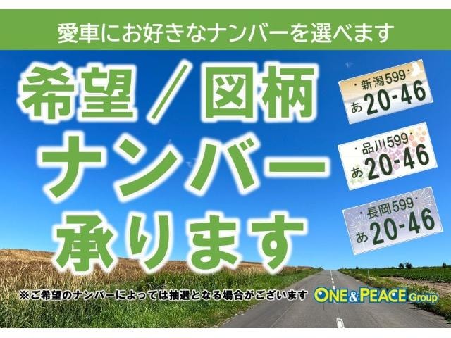 Миниатюра 67