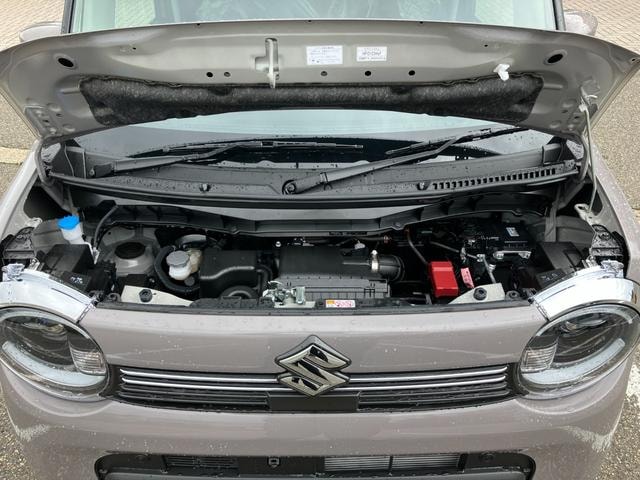 Миниатюра 19