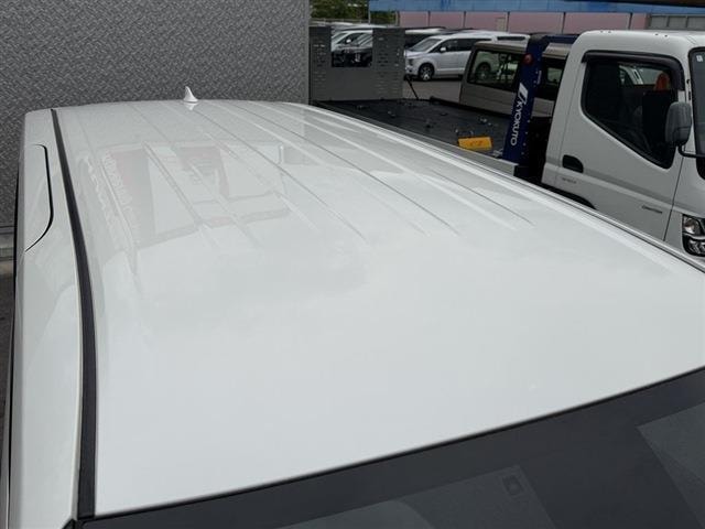 Миниатюра 13
