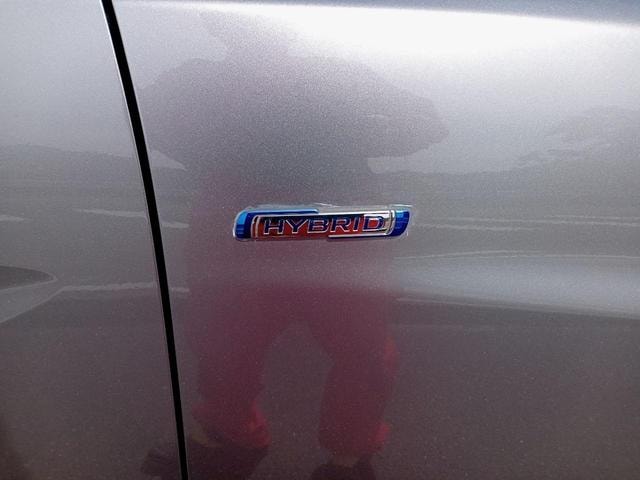 Миниатюра 18