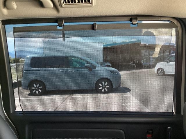 Миниатюра 66