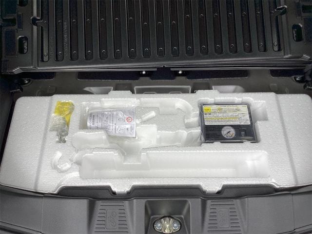 Миниатюра 31
