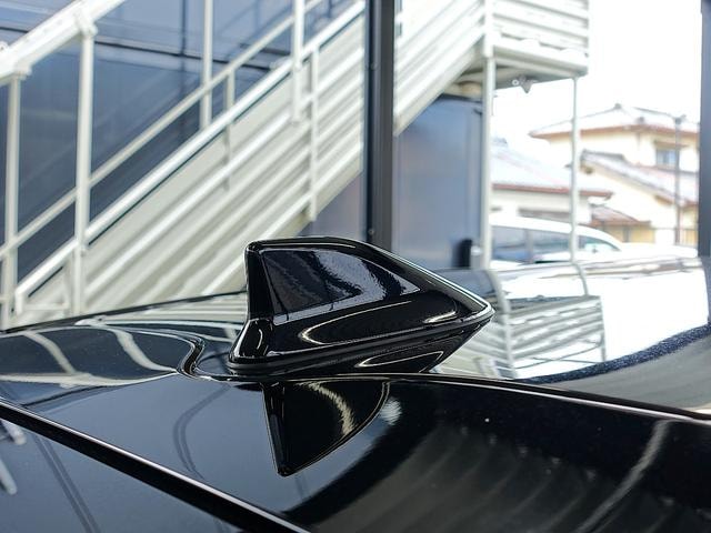 Миниатюра 51