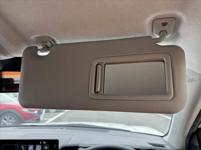 Миниатюра 31