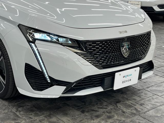 Миниатюра 46