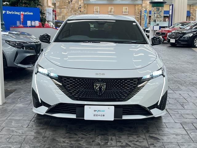 Миниатюра 51