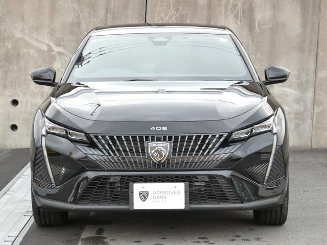 Миниатюра 49