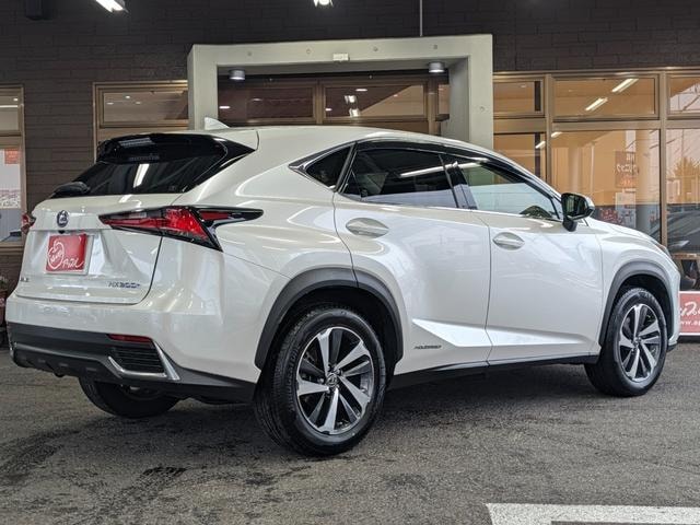 Lexus NX 2019 — фото автомобиля 1