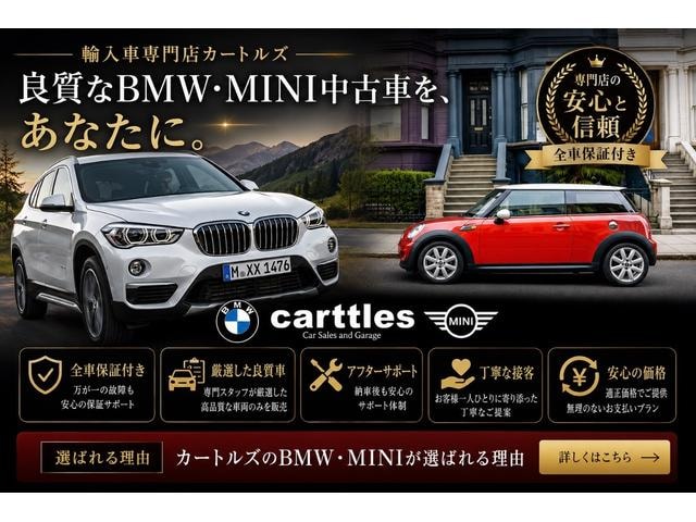 Миниатюра 73