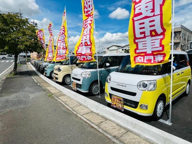 Миниатюра 42