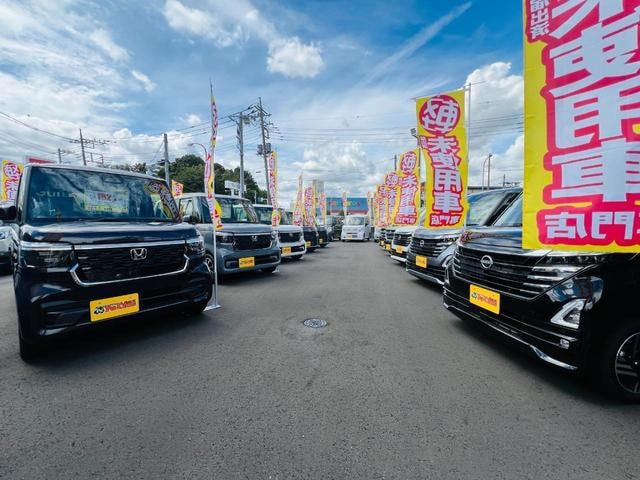 Миниатюра 43
