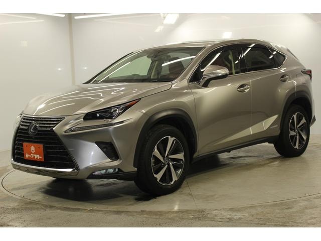 Миниатюра 10